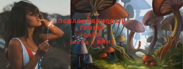 каннабис Алексеевка
