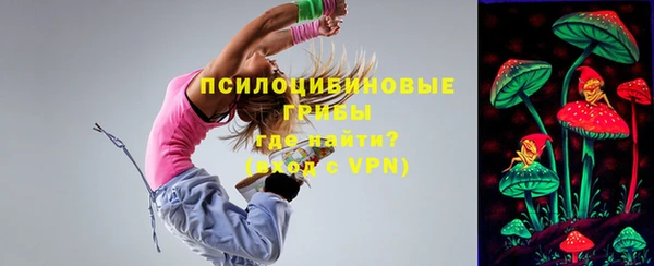 стаф Алзамай