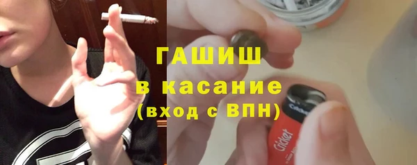 стаф Алзамай
