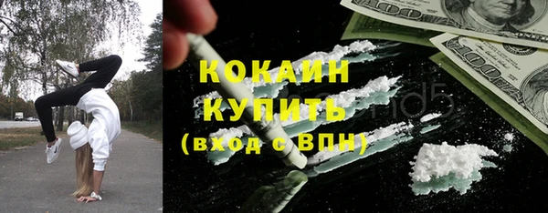 стаф Алзамай