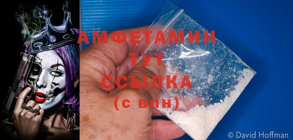 стаф Алзамай